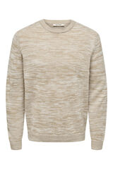 Only & Sons Jersey cuello redondo gris