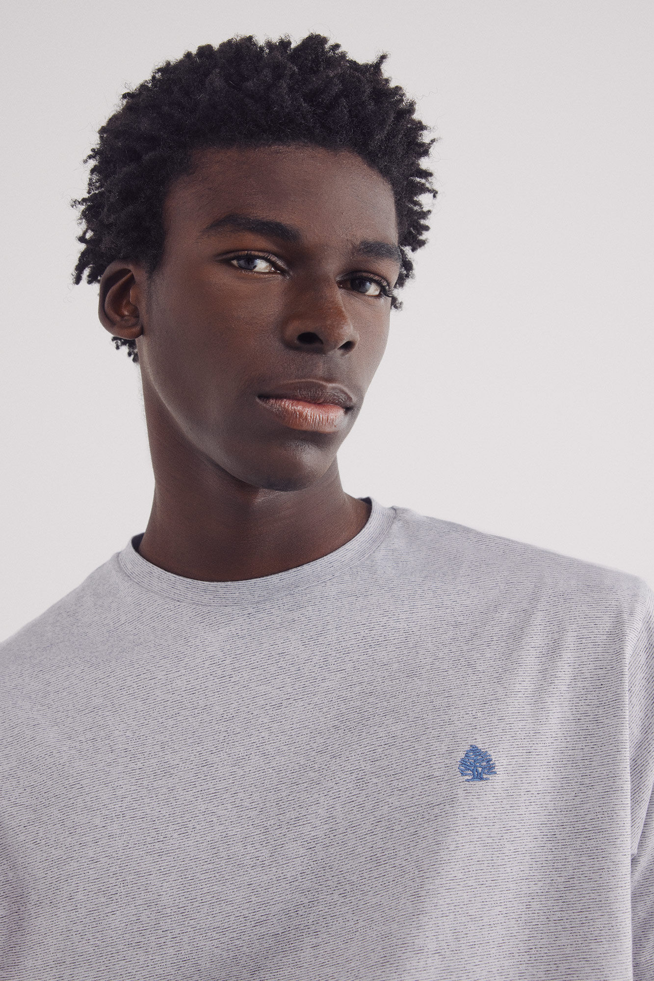 Springfield Camisola microrriscas