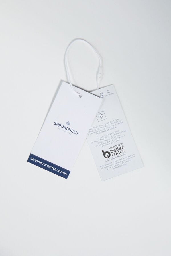 Springfield Camisa oxford riscas bege