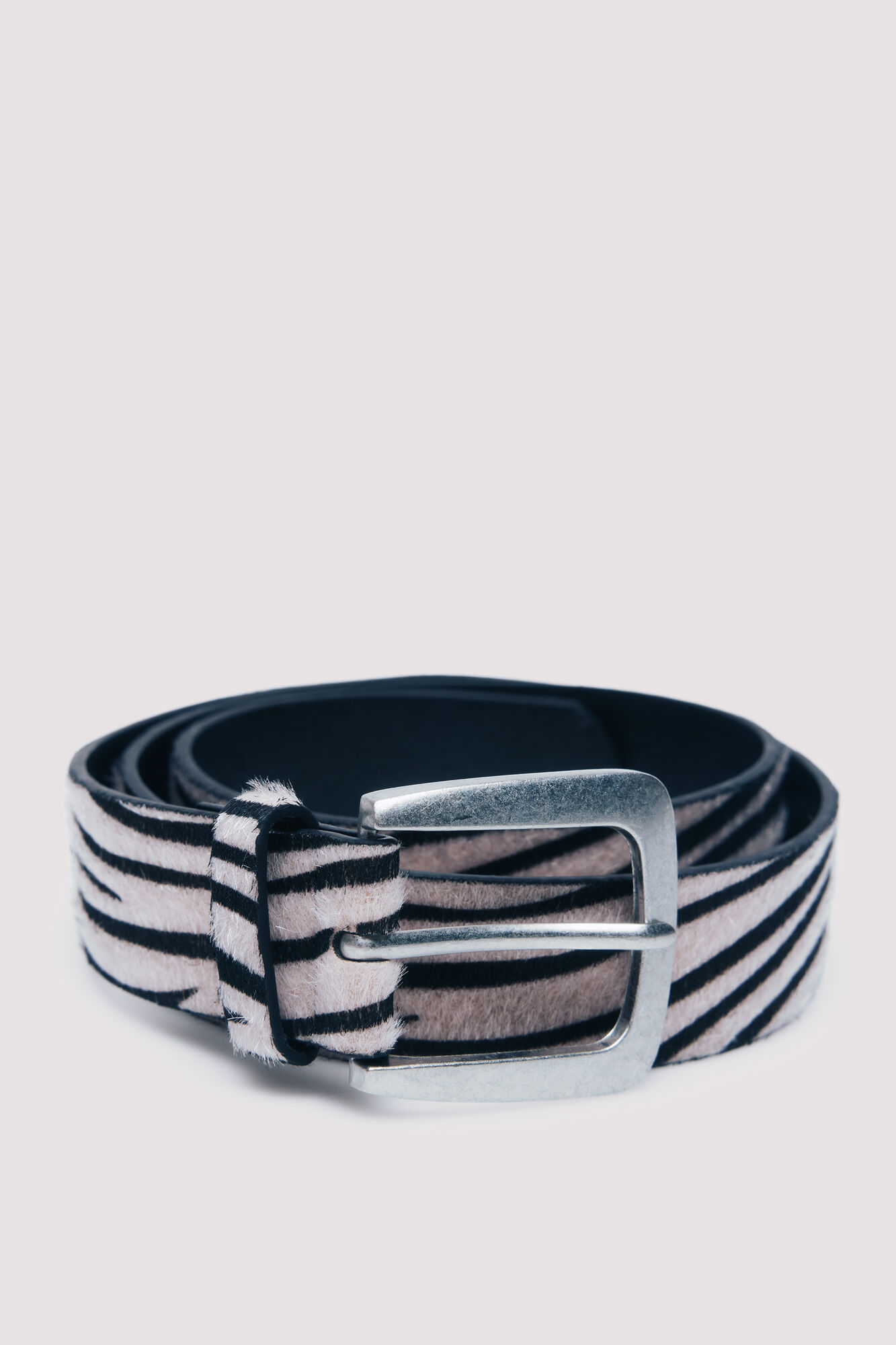 Springfield Cinto zebra m&eacute;dio