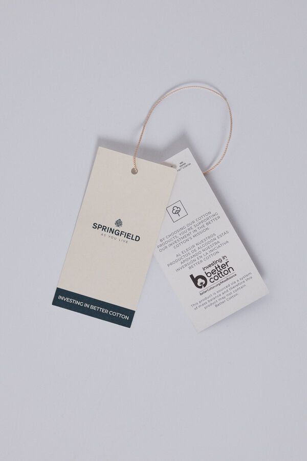 Springfield Camisa riscas manga 3/4 verde