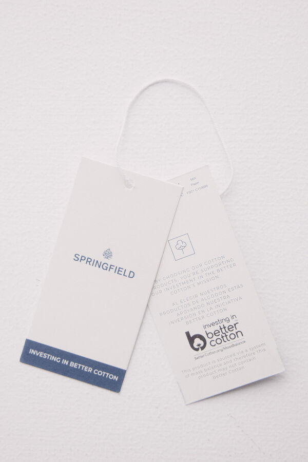 Springfield Camiseta "Daisy "rayas azul