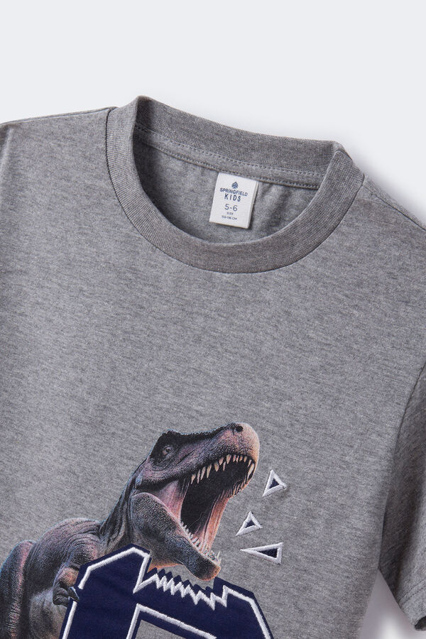 Springfield Kids Camiseta print dinosaurio ni&ntilde;o gris