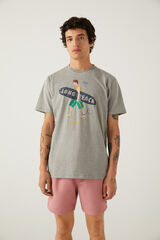 Springfield T-shirt surf cinza