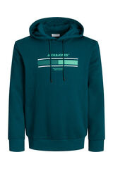 Jack & Jones Sweatshirt de capuz padr&atilde;o verde