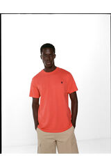 Springfield T-shirt b&aacute;sica &aacute;rvore estampado