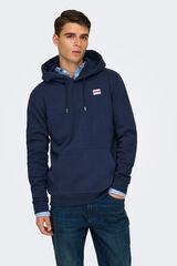 Only & Sons Sudadera de hombre con capucha regular fit. azul