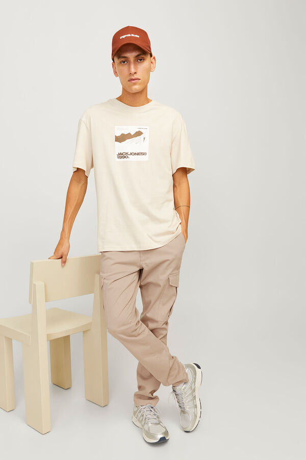 Jack & Jones Pantal&oacute;n Cargo Slim Fit gris