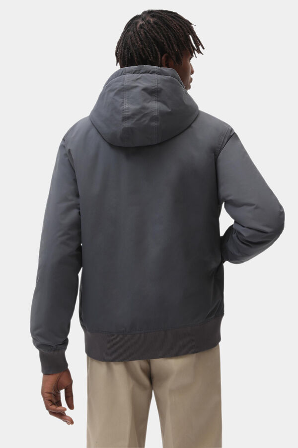 Dickies A Nova Casaco Sarpy  cinzento