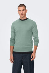 Only & Sons Jersey de hombre de cuello redondo regular fit. verde
