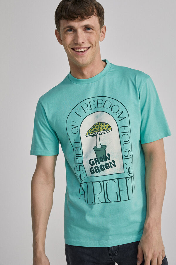 Springfield Camiseta spirit of freedom house verde