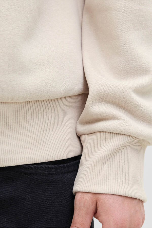 JJ REBEL Sudadera regular fit gris