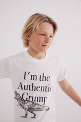 Springfield Kids Camiseta dinosaurio ni&ntilde;o marfil