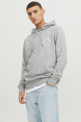 Jack & Jones Sweatshirt de capuz regular fit  cinzento