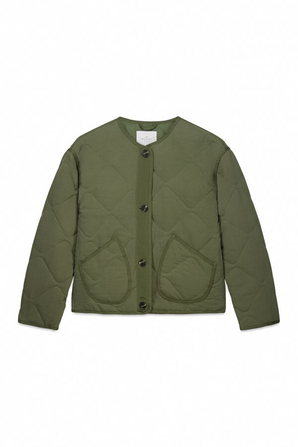 Springfield Casaco curto acolchoado verde Caqui escuro