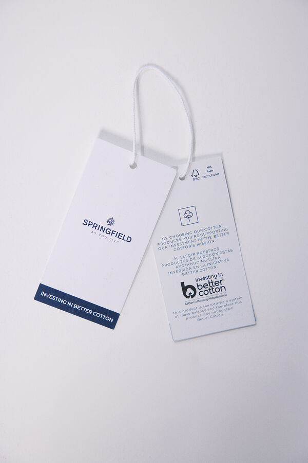 Springfield Camiseta gr&aacute;fica &eacute;tnica azul