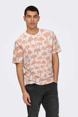 Only & Sons T-shirt de manga curta estampada castanho