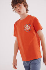 Springfield Kids Camiseta infantil com estampa de árvore étnica borgonha