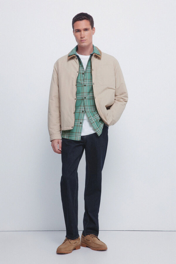 Springfield Camisa xadrez verde