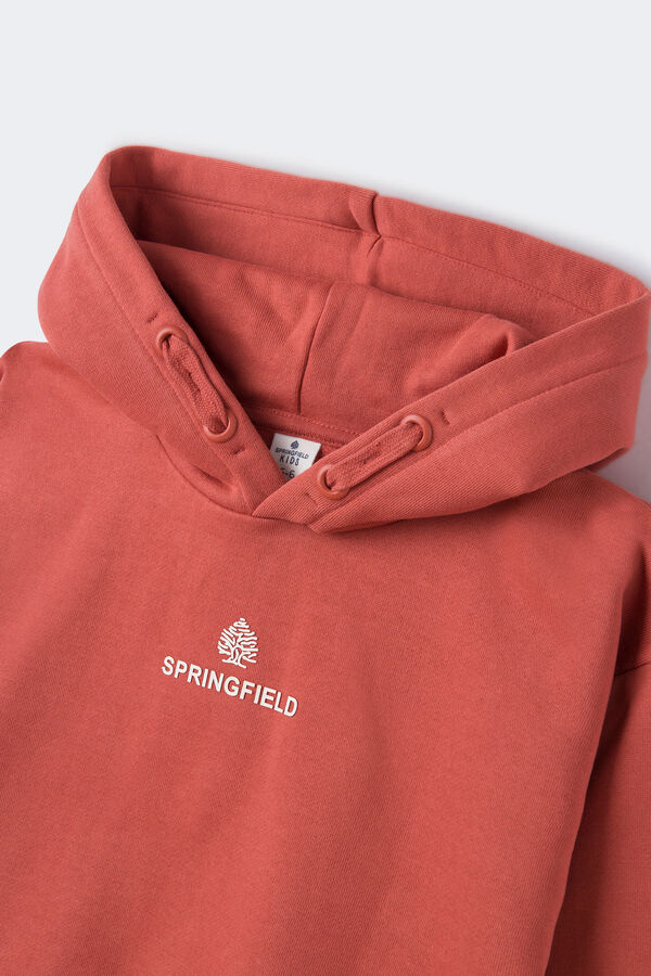 Springfield Sudadera capucha logo rojo