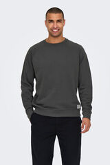 Only & Sons Sweatshirt com gola redonda e estampado nas costas cinzento