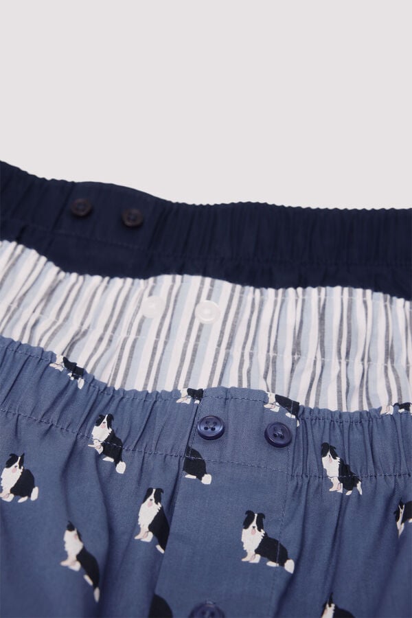 Springfield Pack 3 calzoncillos popel&iacute;n estampados azul