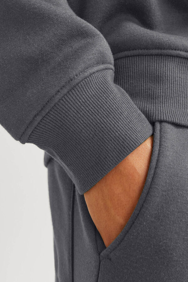 JJ REBEL Sudadera ligera relaxed fit gris