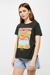 Springfield T-shirt "California" cinza