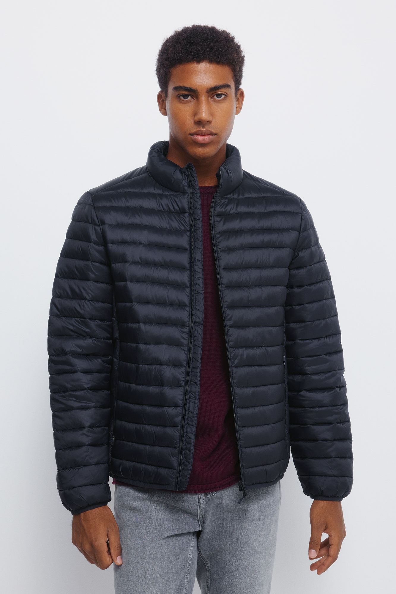 Springfield Casaco acolchoada