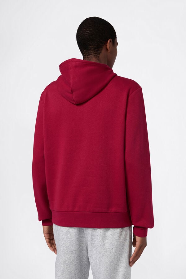 Champion Sudadera con capucha Champion burdeos