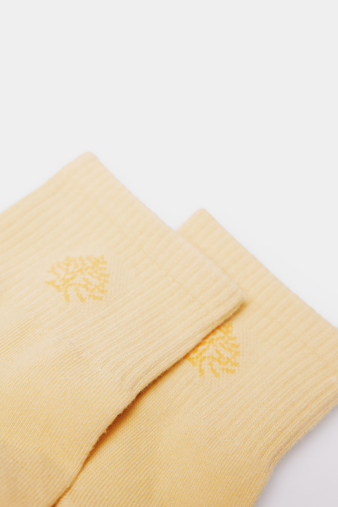 Springfield Meia esportiva no tornozelo