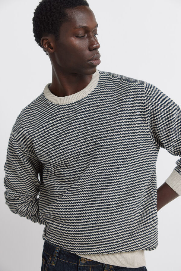 Springfield Jersey estructura bicolor azul
