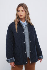 Springfield Chaqueta acolchada cuello pana azul