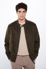 Springfield Cazadora efecto ante tostado