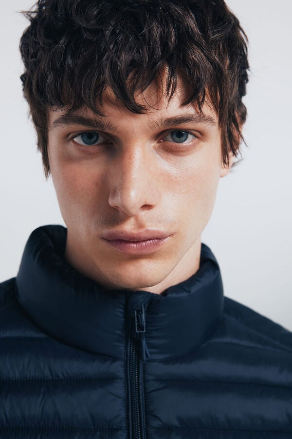 Springfield Colete acolchoado azul