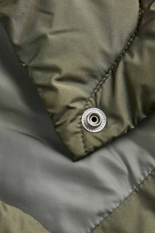 Jack & Jones Chaqueta acolchada corta verde