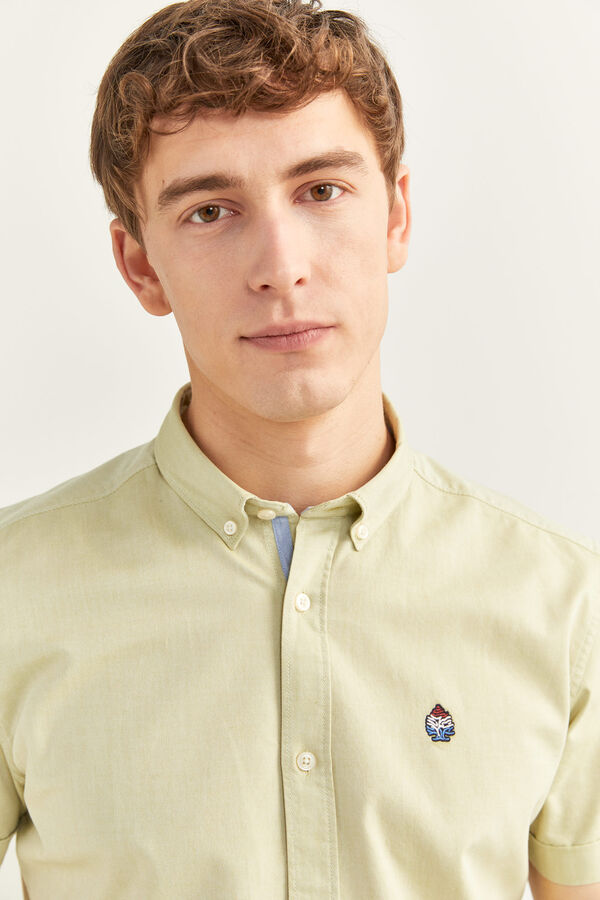 Springfield Camisa pinpoint verde