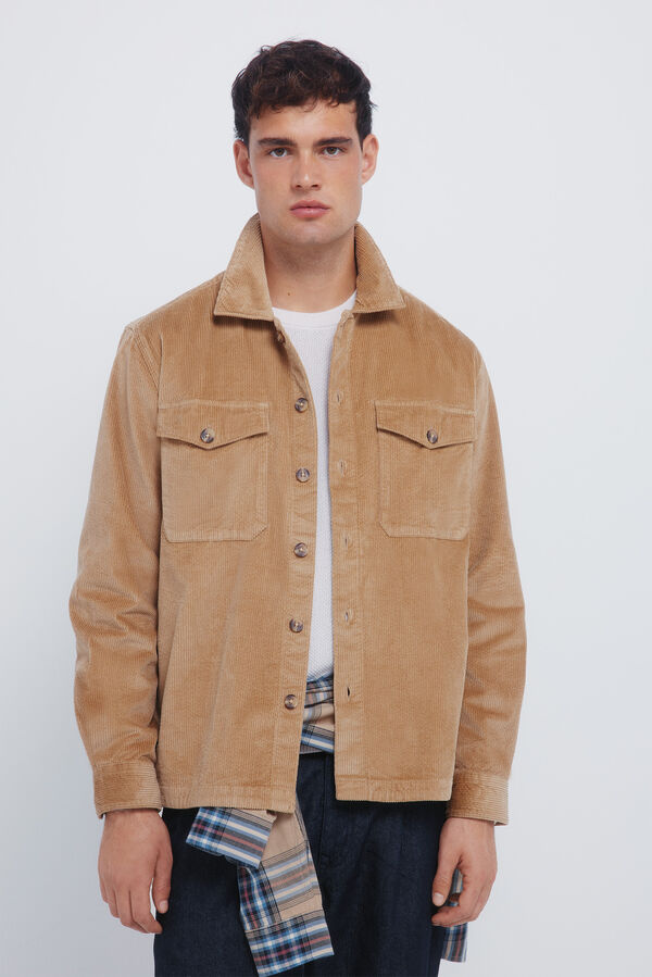 Springfield Sobrecamisa pana beige