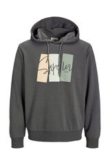 JJ REBEL Sweatshirt capuz cinzento
