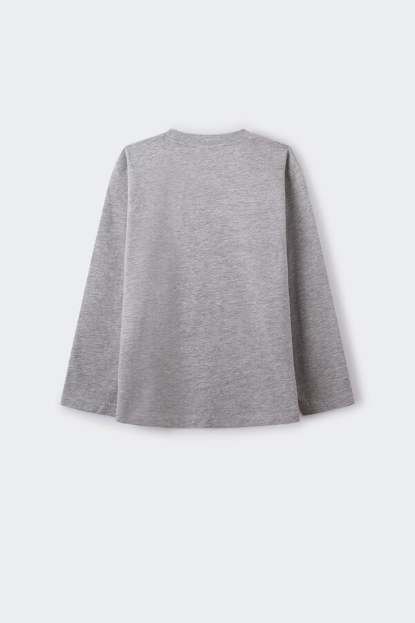 Springfield Kids Camiseta NASA ni&ntilde;o gris