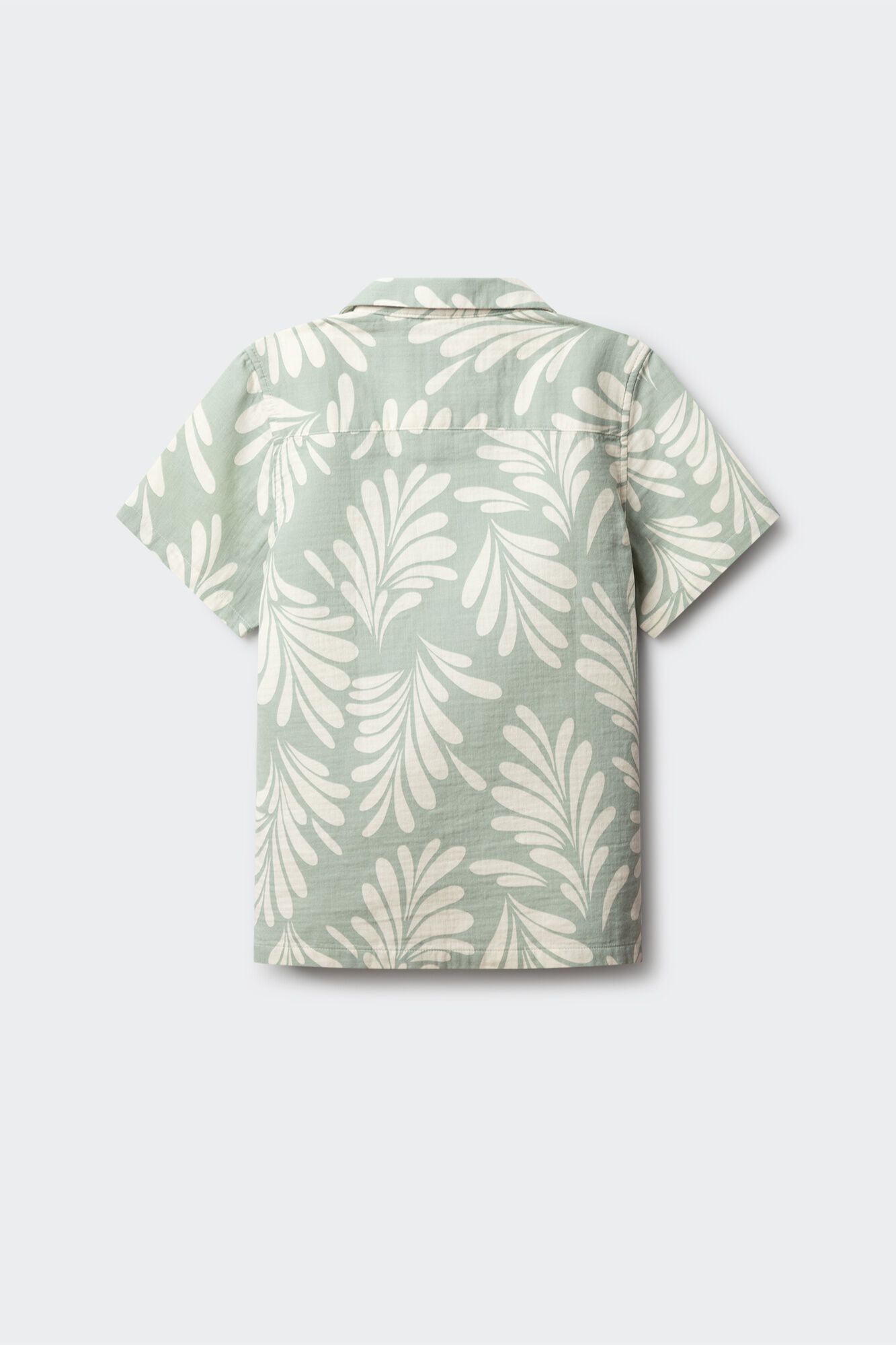 Springfield Kids Camisa Palmeras ni&ntilde;o
