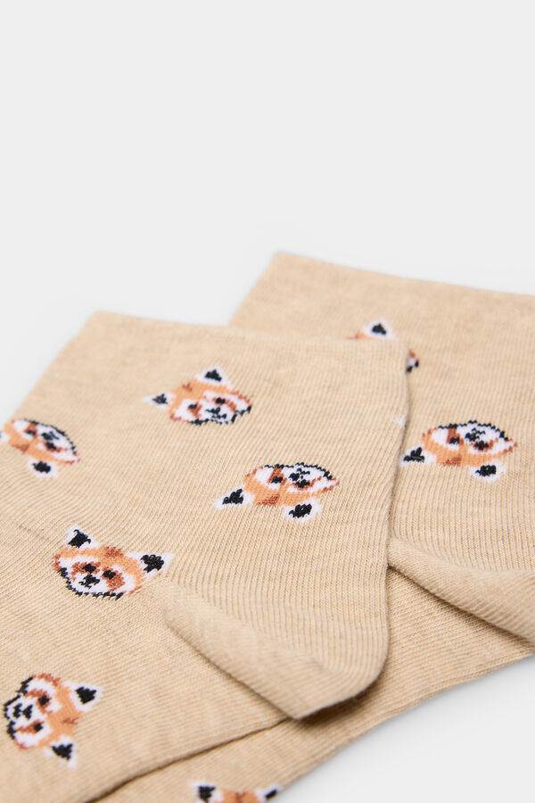 Springfield Meia soquete curta raposos cru