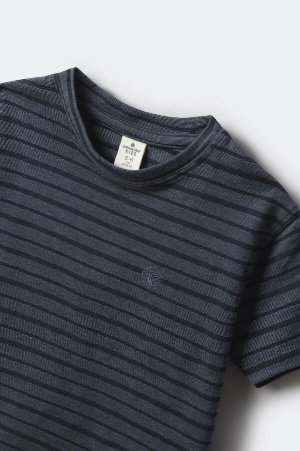 Springfield Kids Camiseta ni&ntilde;o estampado rayas azul