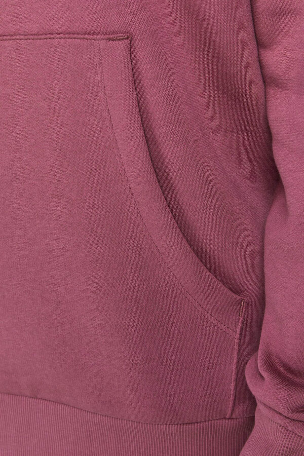 Springfield Sweatshirt com capuz logo roxo