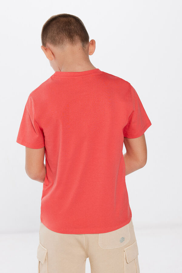 Springfield Kids Camiseta &aacute;rbol ni&ntilde;o estampado