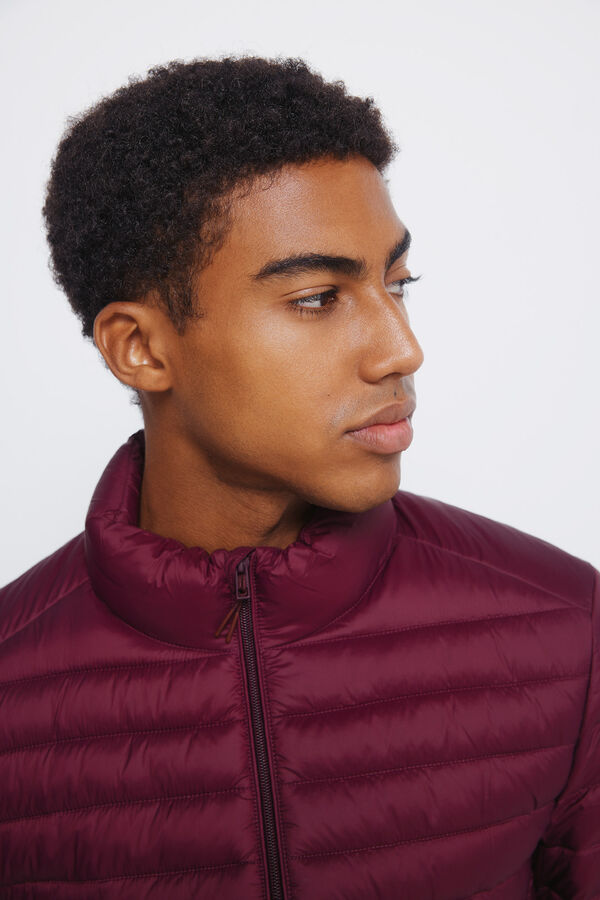 Springfield Chaqueta acolchada burdeos