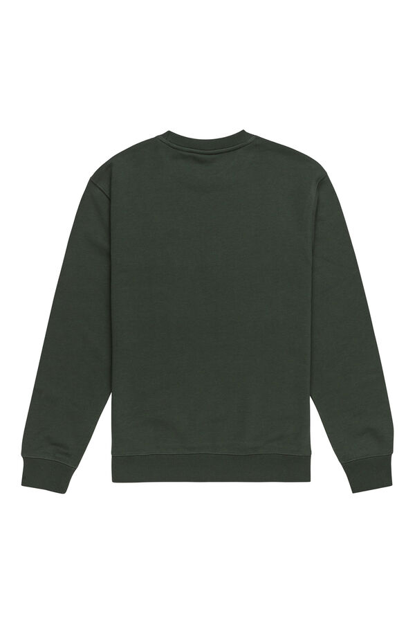 Element Flock - Sweatshirt para homem verde