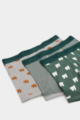 Springfield Pack de 3 boxers com estampado de urso verde