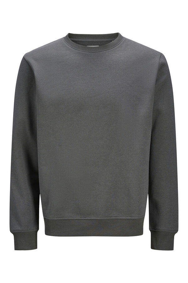 JJ REBEL Sudadera ligera relaxed fit gris