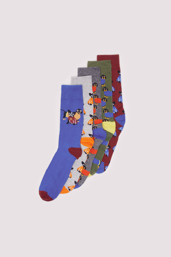 Brave Soul Pack 5 meias soquetes com cães estampado